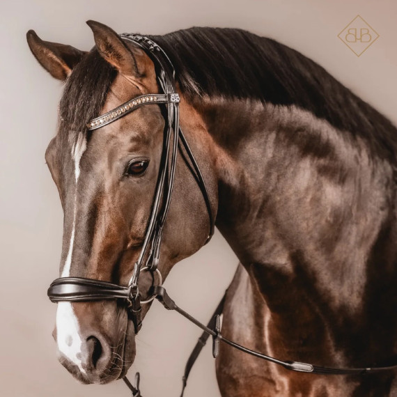 Rundsydd hodelag Perfection m/lav neserem fra Brisque Bridlewear