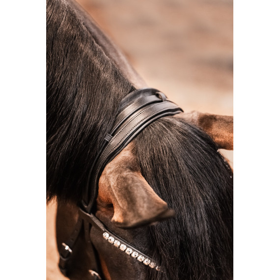 Hodelag Presice fra Brisque Bridlewear