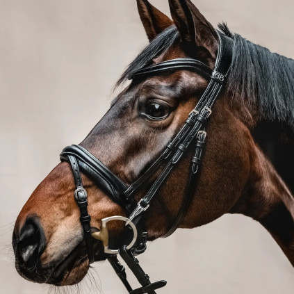 Hodelag REFINE fra Brisque Bridlewear