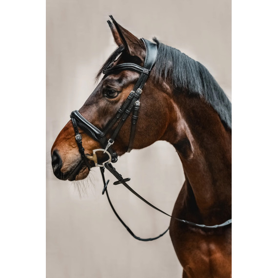 Hodelag REFINE fra Brisque Bridlewear