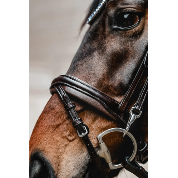 Hodelag REFINE fra Brisque Bridlewear