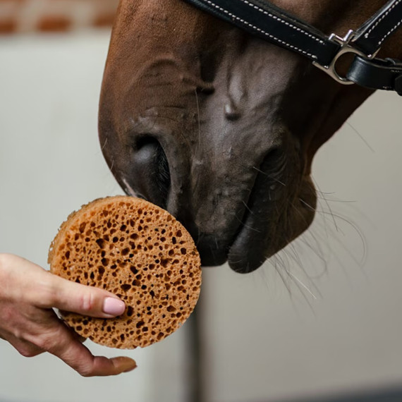 Svamp rund fra Borstiq