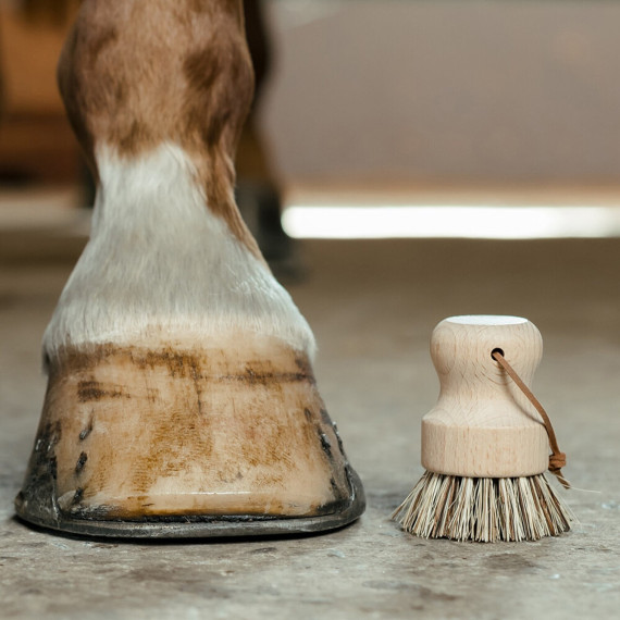 Hovbørste fra Borstiq farm