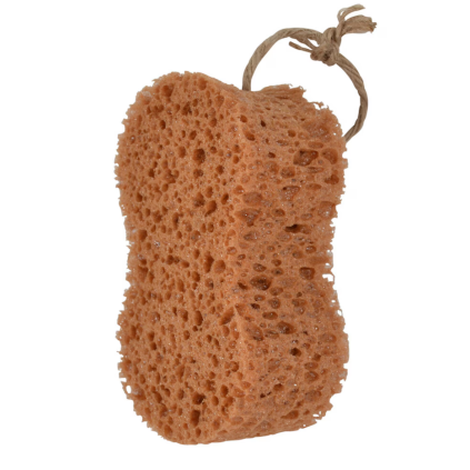 Svamp oval fra Borstiq farm