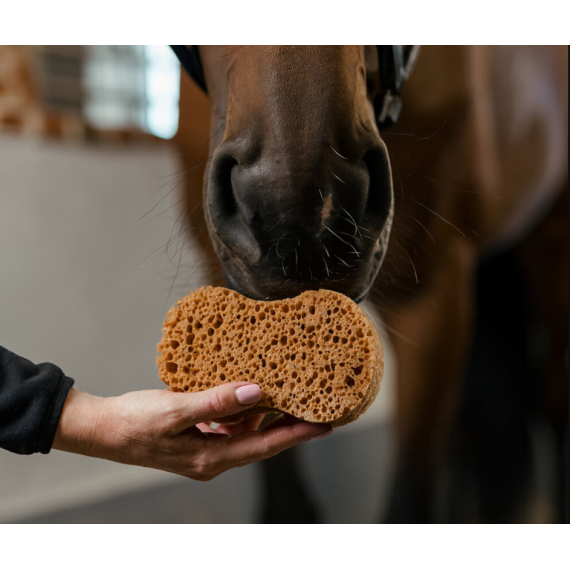 Svamp oval fra Borstiq farm