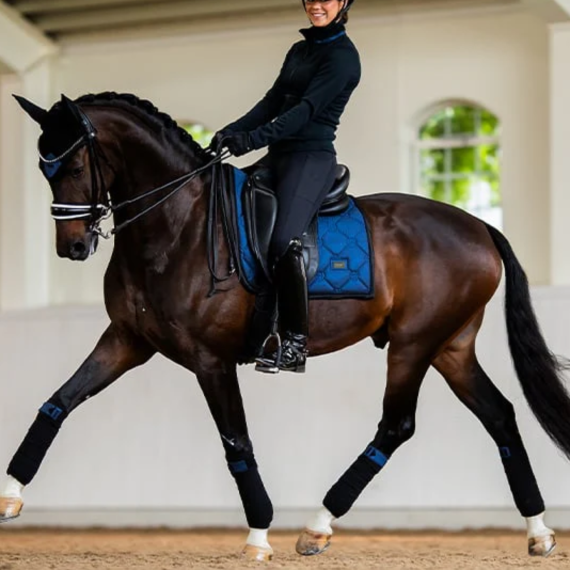 Dressur Schabrak Northern Light Glimmer fra ES