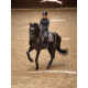 Dressur Schabrak Purple Glimmer fra ES