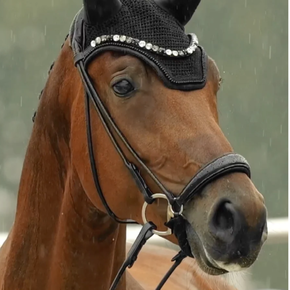 Rundsydd hodelag Perfection m/lav neserem fra Brisque Bridlewear