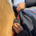 LTS CozyCheck temperaturmåler fra EquineLTS