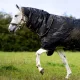 Stalldekken PRO 100g fra ALOGA