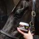 Enhancing Gloss fra smartgrooming
