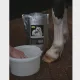 Polar Leg and Body whitner