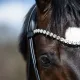 Rundsydd hodelag Premium fra Brisque Bridlewear