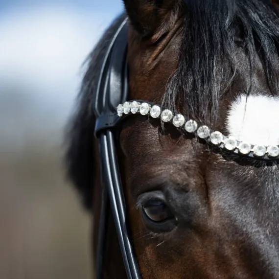 Rundsydd hodelag Premium fra Brisque Bridlewear