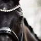 Rundsydd hodelag Premium fra Brisque Bridlewear