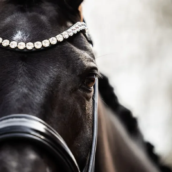 Rundsydd hodelag Premium fra Brisque Bridlewear