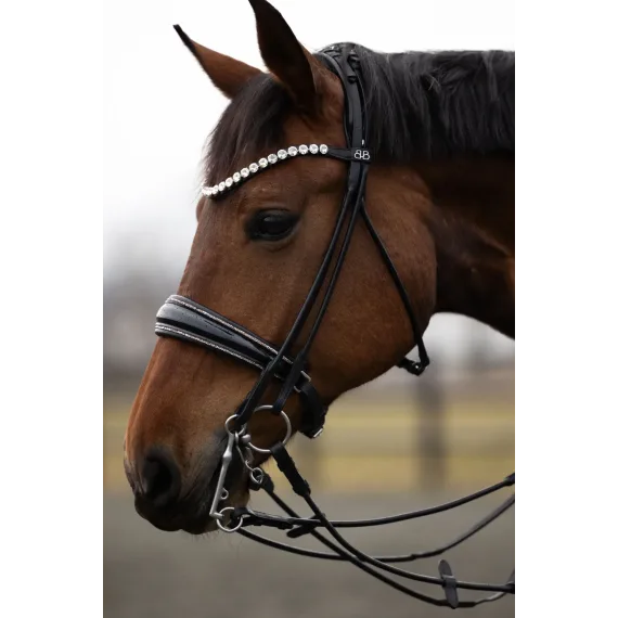 Rundsydd Kandar fra Brisque Bridlewear
