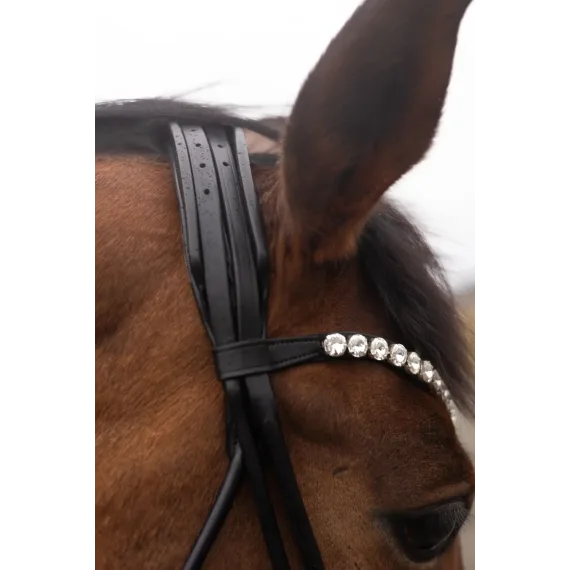 Rundsydd Kandar fra Brisque Bridlewear