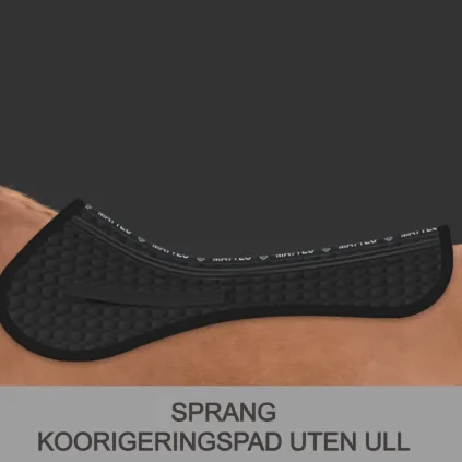 Dressur-Korrigeringspad uten ull