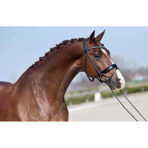 5-Star Braiding gel fra Leovet