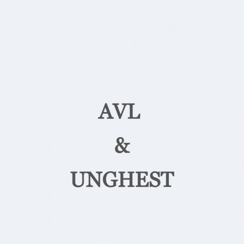 Avl & Unghest