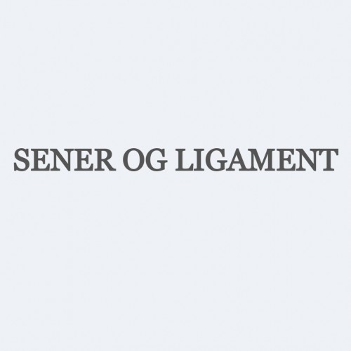 Sener & ligament