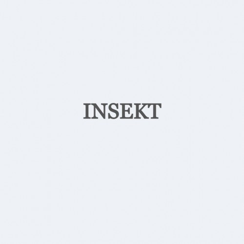 Insekt