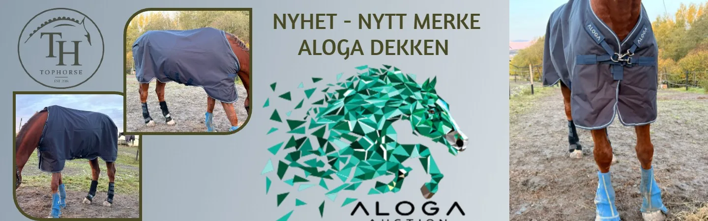 Aloga Equstrian 