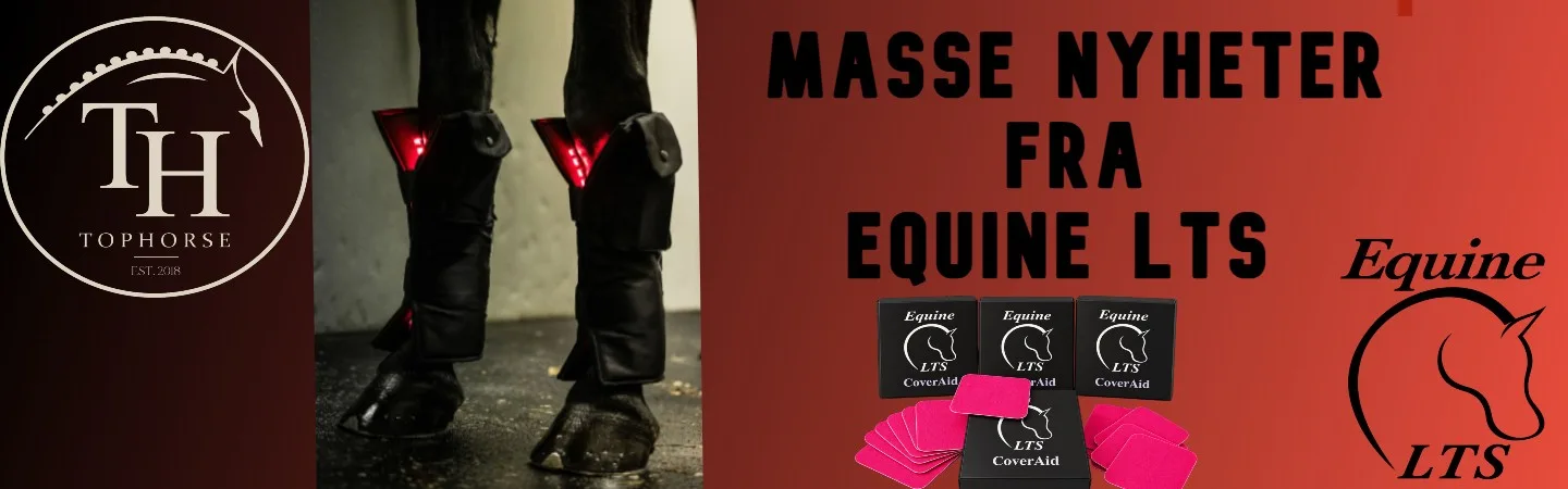 EQUINE LTS